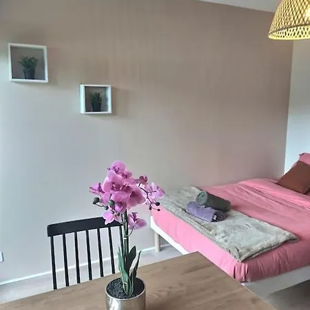 Le Joyau Cache Bourg 13 Appartement Évreux